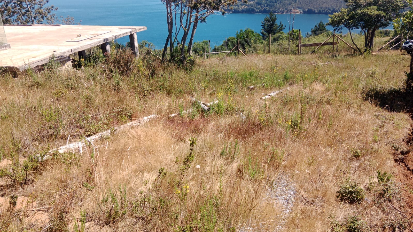 Atardecer en Lago Lleu Lleu