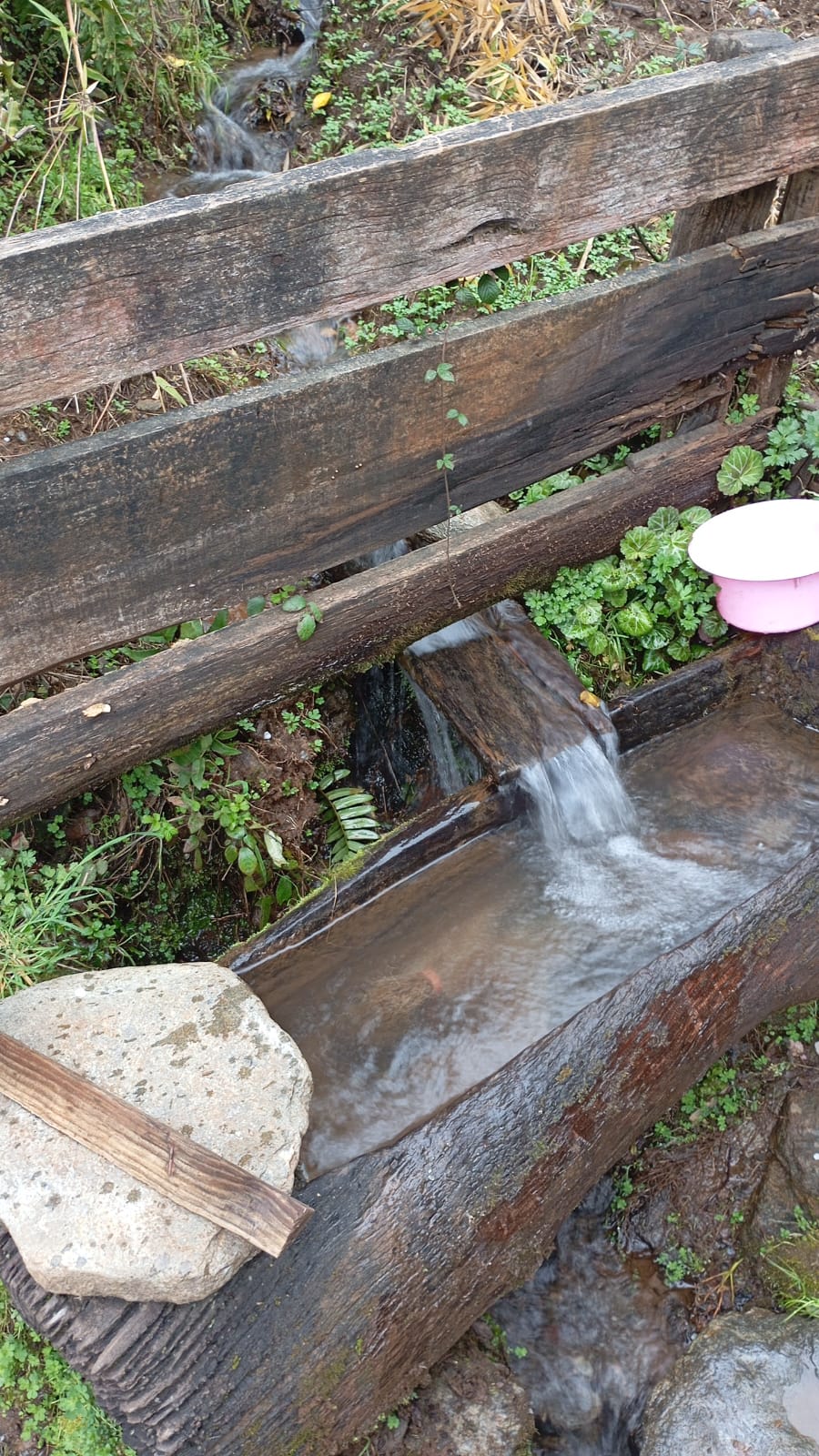 Naturaleza Lago Lleu Lleu