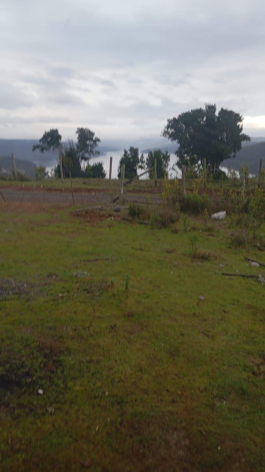 Paisaje Lago Lleu Lleu